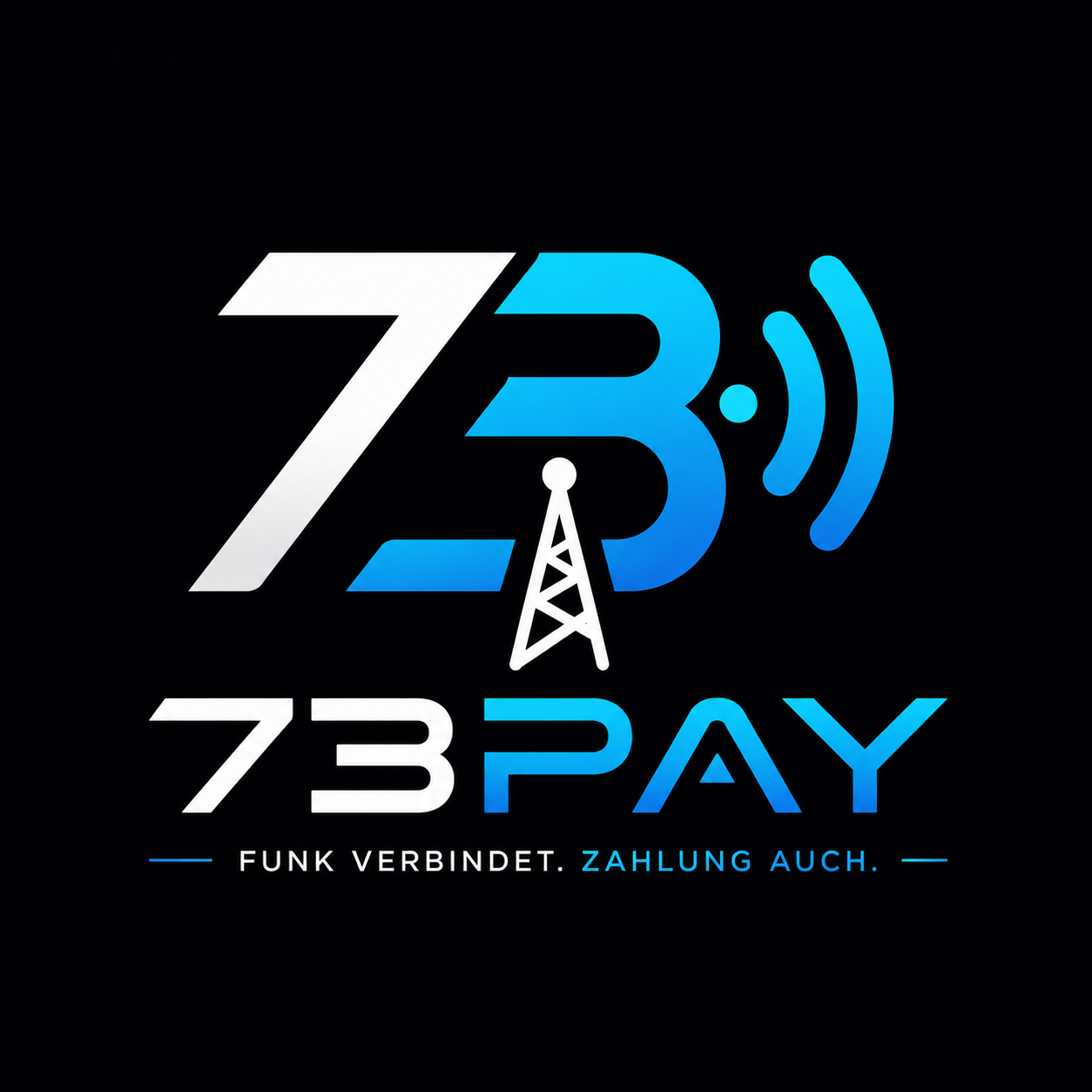73pay Logo